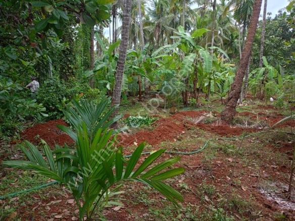 Land for sale at Madapally Vatakara
