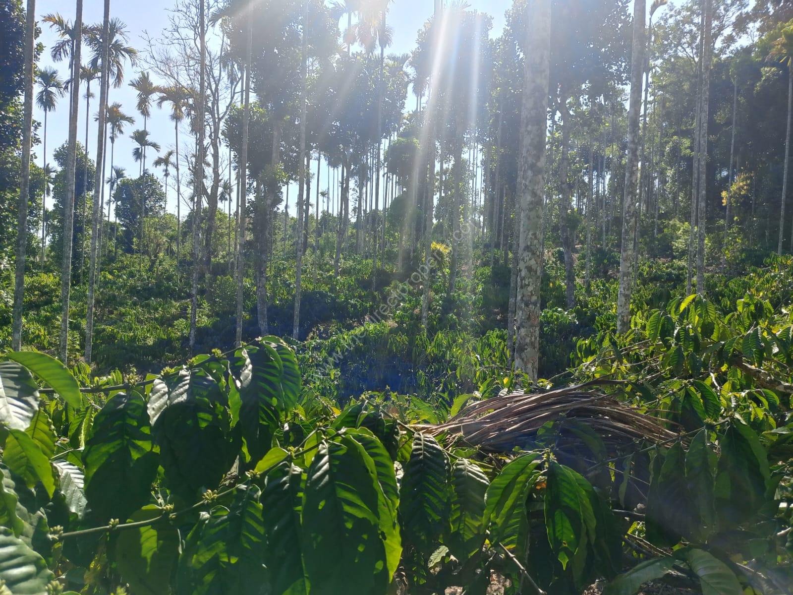 428c5c3d-3ce4-44fe-9e2e-f335d601e26b