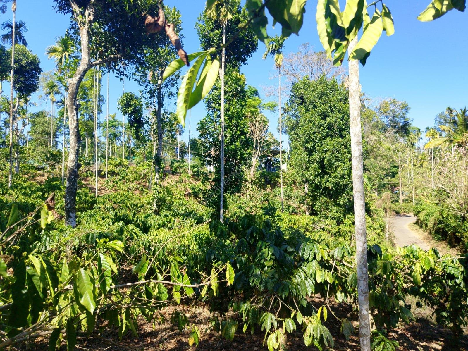 8b3f07f0-25bb-45ac-8b07-871bdd7b13d1