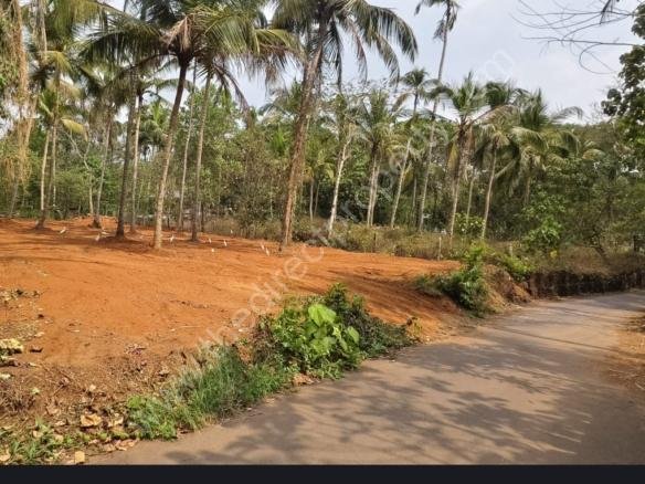 Prime 21.5 Cent Residential Plot for Sale Near Kettangal Town Calicut