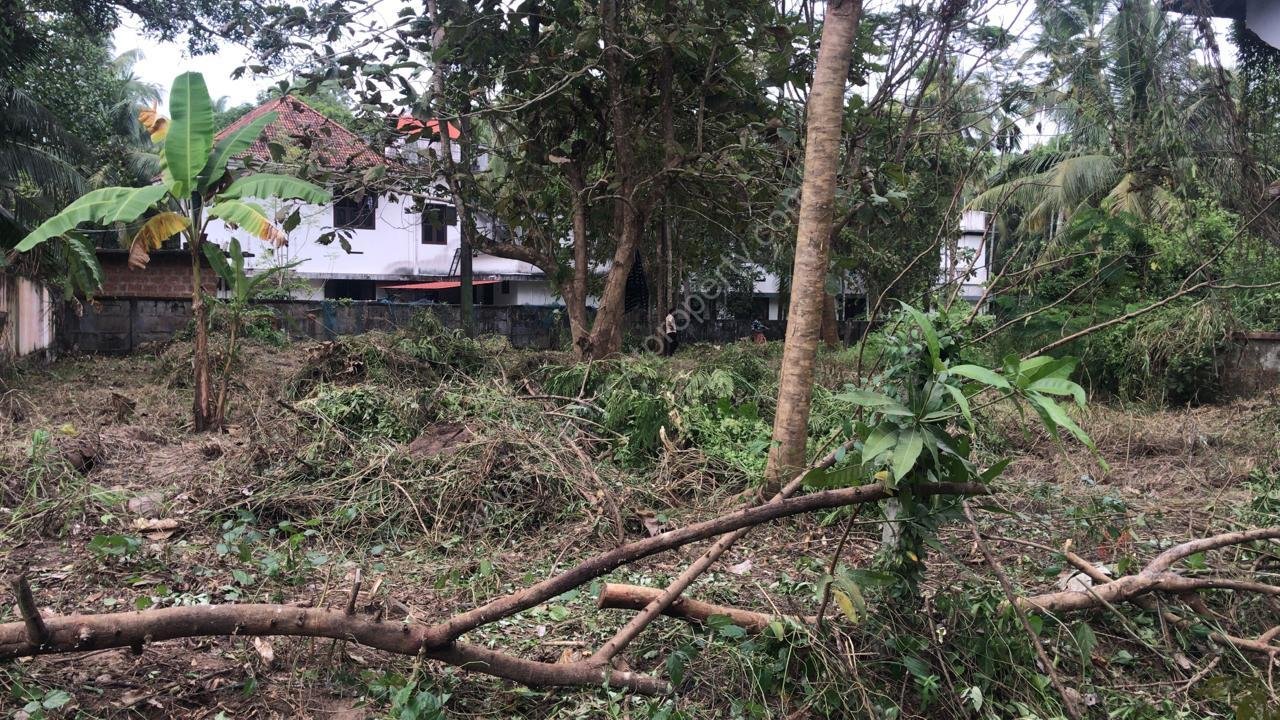 WhatsApp Image 2024-05-30 at 5.11.21 PM