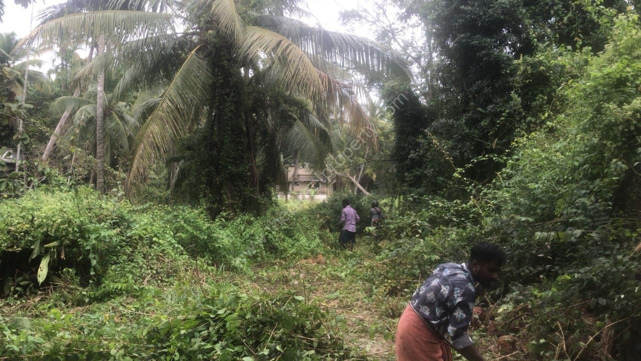 WhatsApp Image 2024-05-30 at 5.11.22 PM