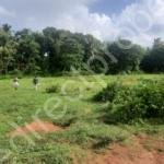 Property land for Sale in Chittanda
