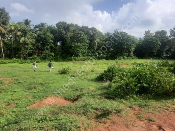 Property land for Sale in Chittanda
