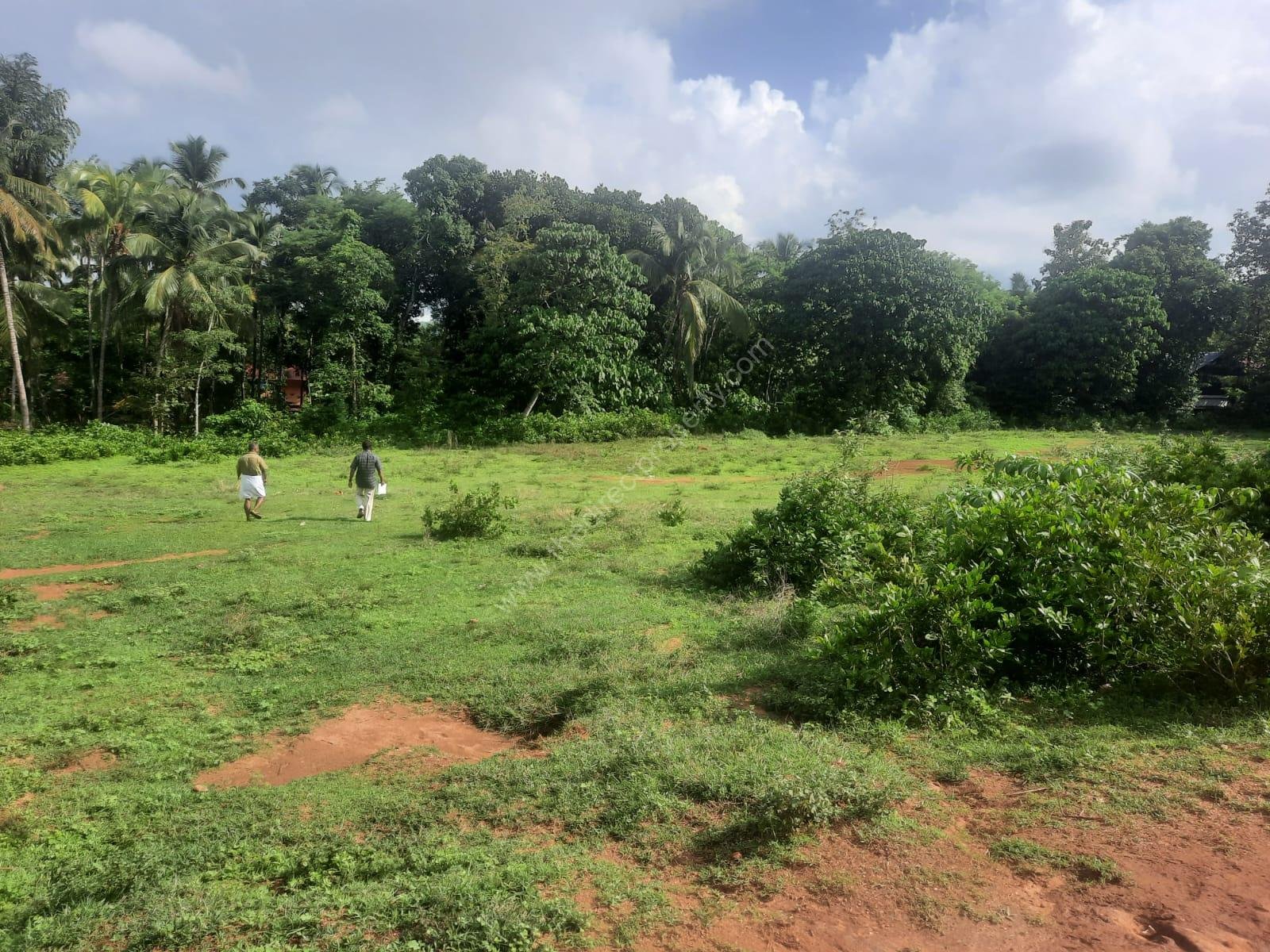Property land for Sale in Chittanda