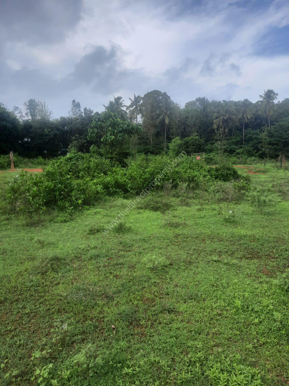 WhatsApp Image 2024-07-01 at 16.47.30_77bb7833