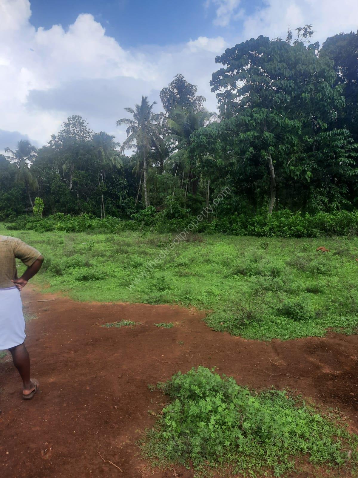 WhatsApp Image 2024-07-01 at 16.47.31_76bf24f3