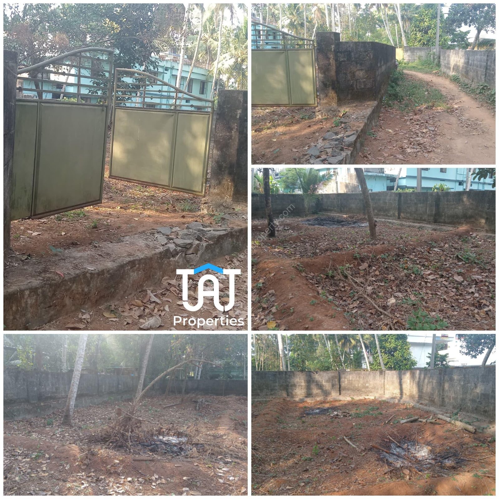 WhatsApp Image 2025-03-01 at 12.43.24 PM (1)