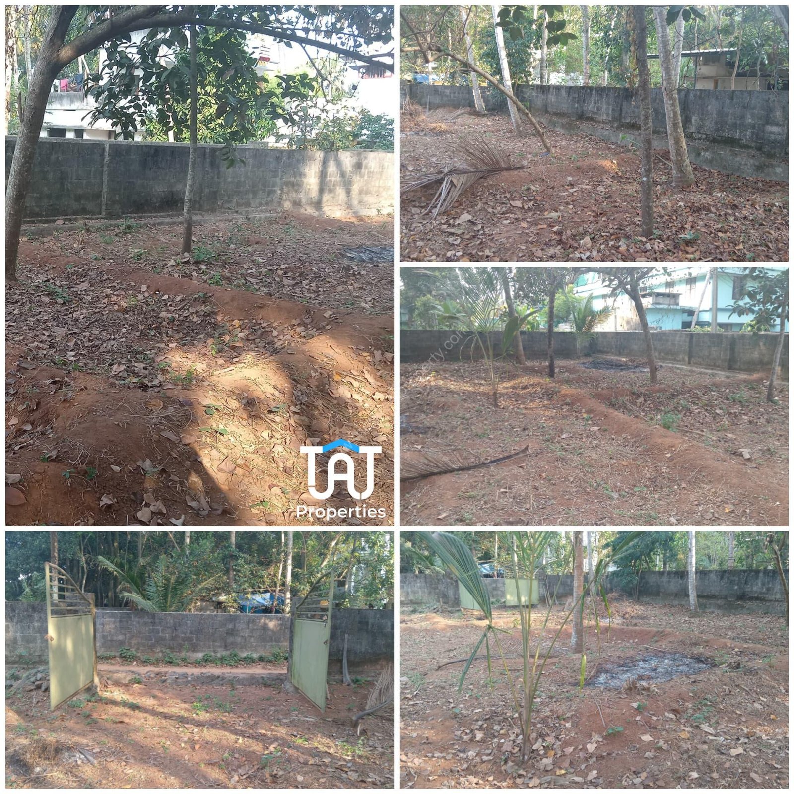 WhatsApp Image 2025-03-01 at 12.43.25 PM (1)