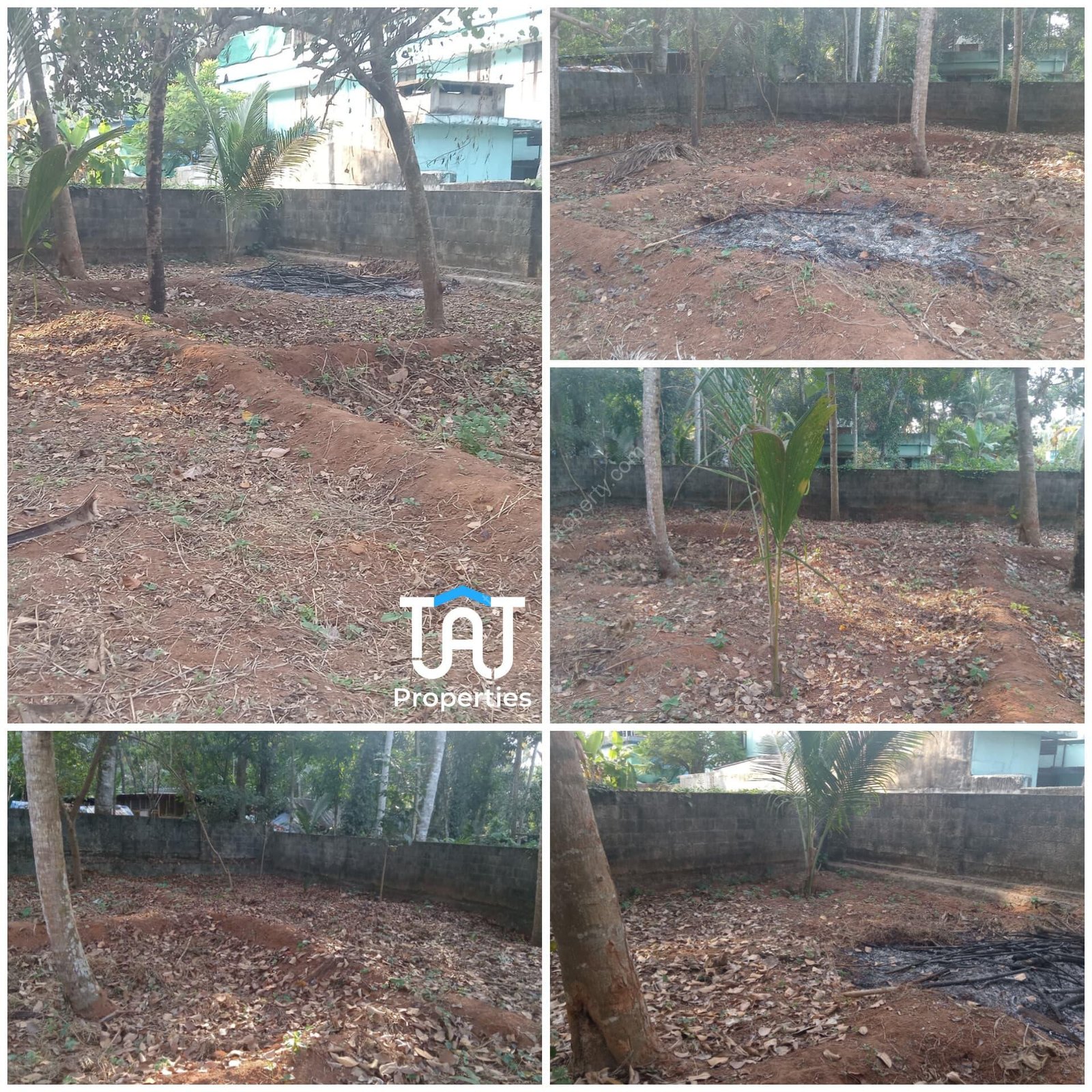 WhatsApp Image 2025-03-01 at 12.43.25 PM (2)