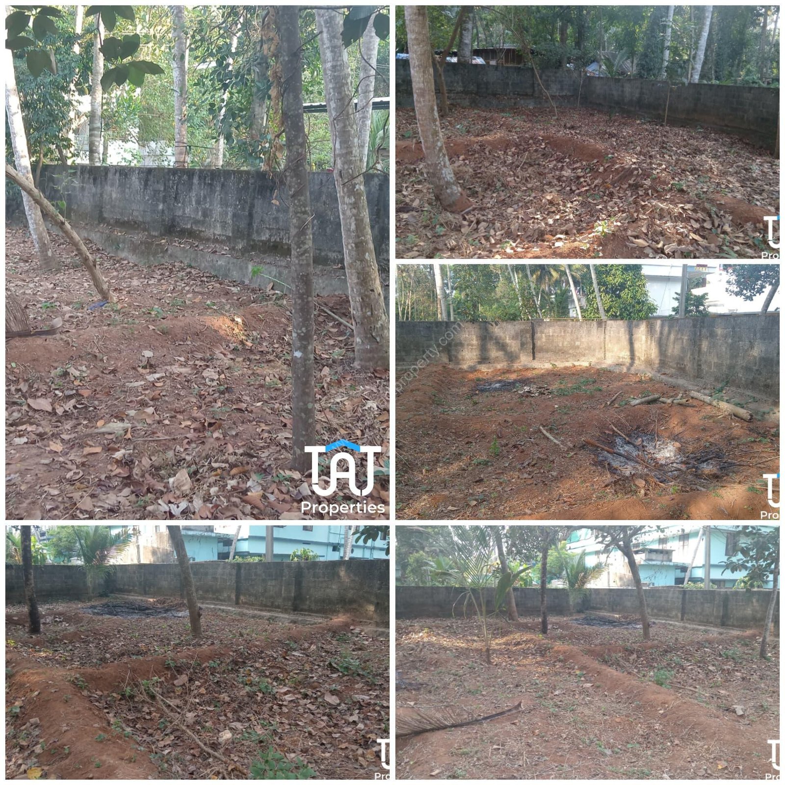 WhatsApp Image 2025-03-01 at 12.44.45 PM (1)