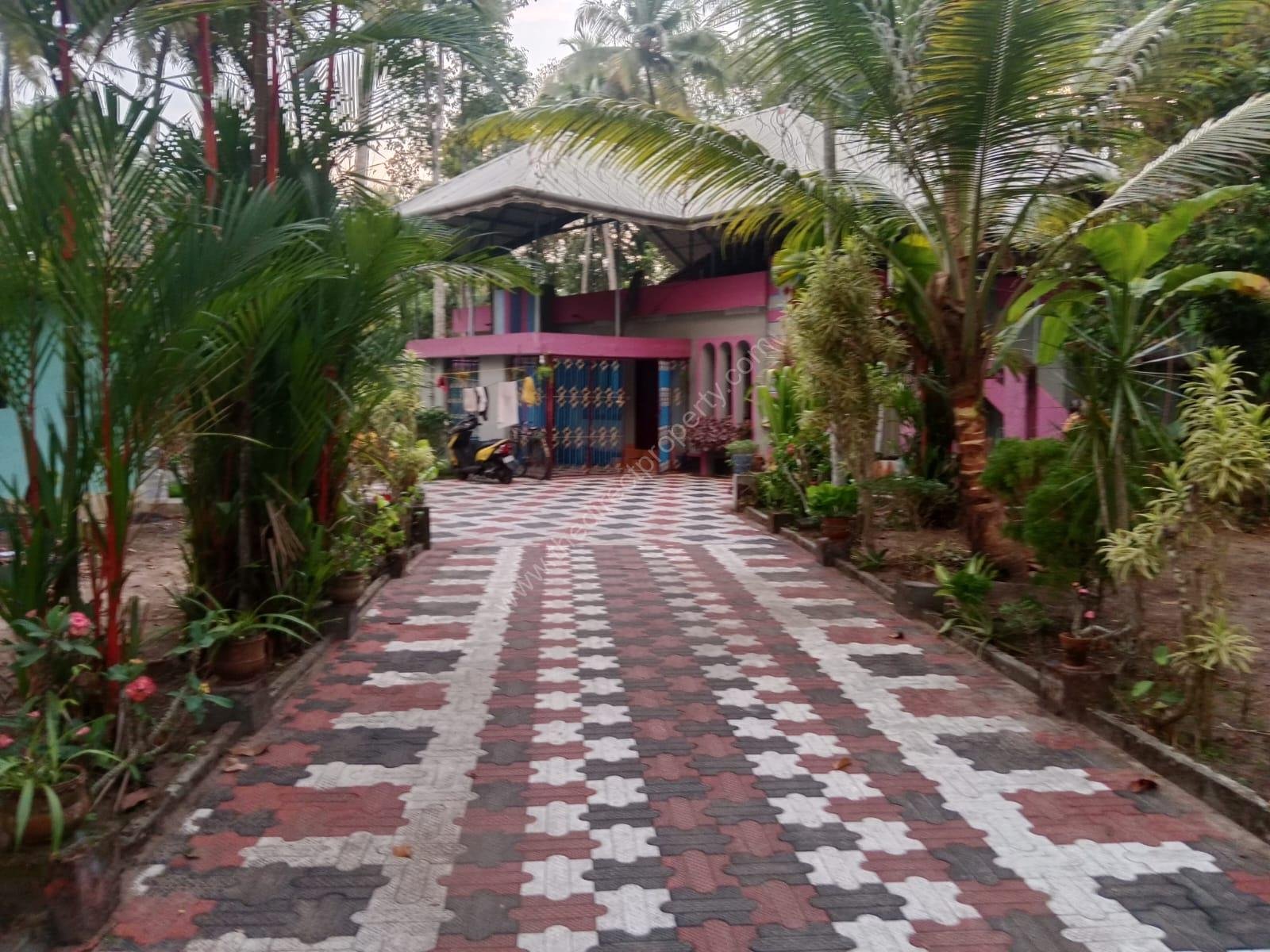 WhatsApp Image 2025-03-01 at 17.28.29 (1)