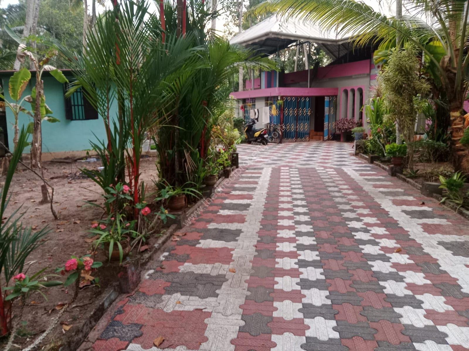 WhatsApp Image 2025-03-01 at 17.28.29