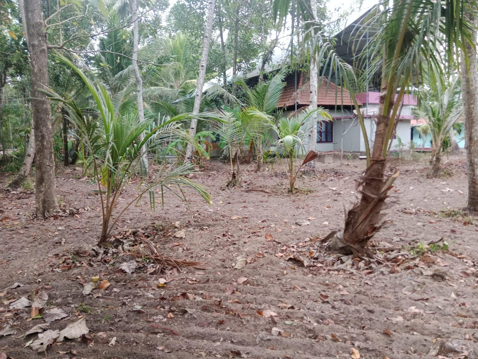 WhatsApp Image 2025-03-01 at 17.28.34