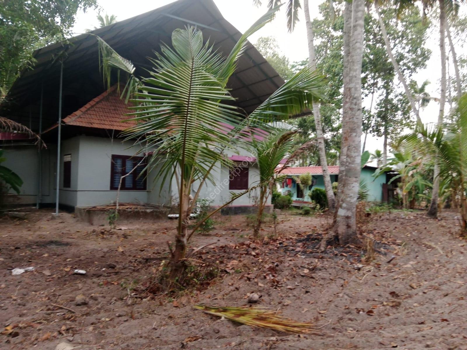 WhatsApp Image 2025-03-01 at 17.28.35 (1)