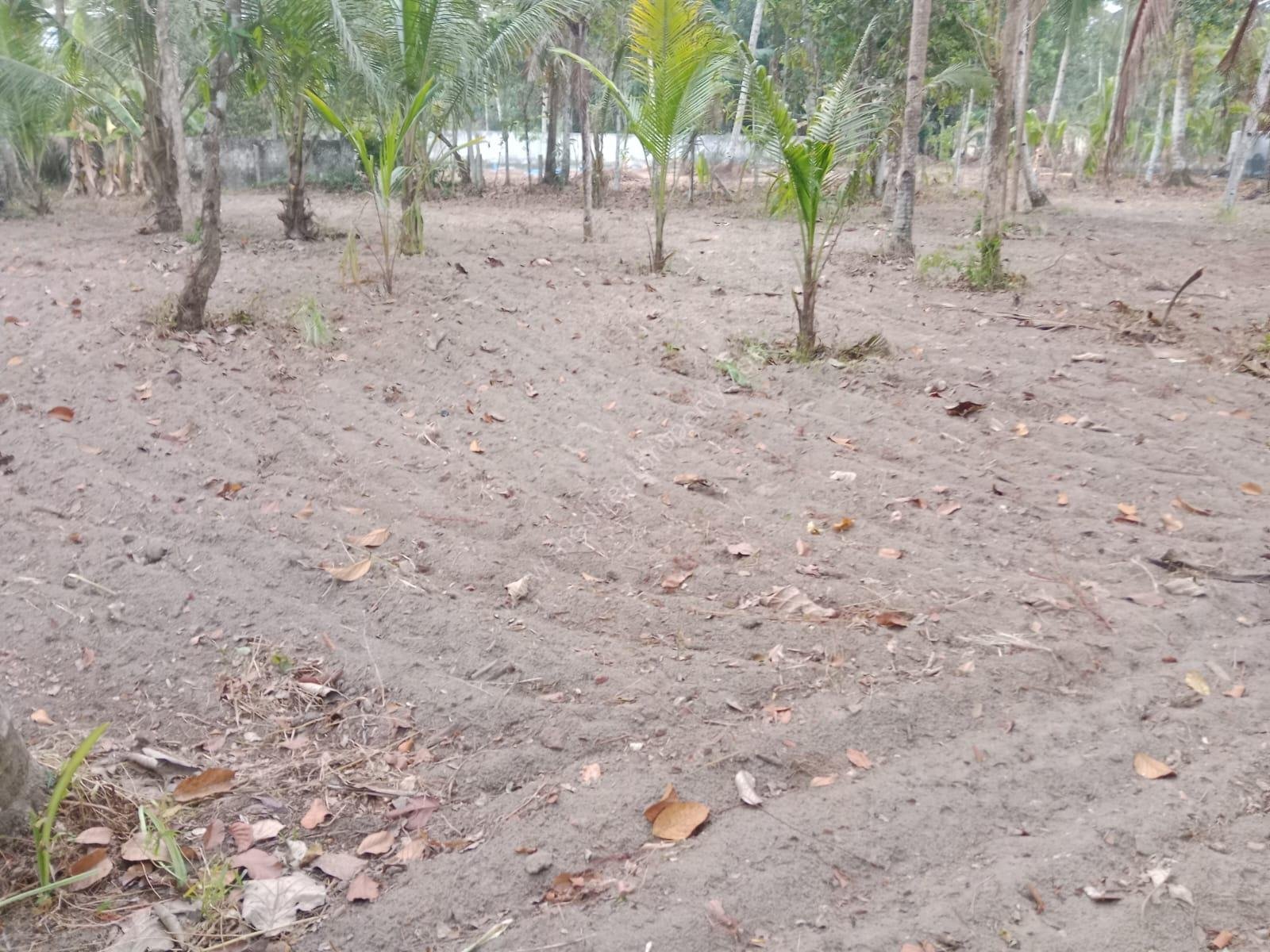 WhatsApp Image 2025-03-01 at 17.28.35