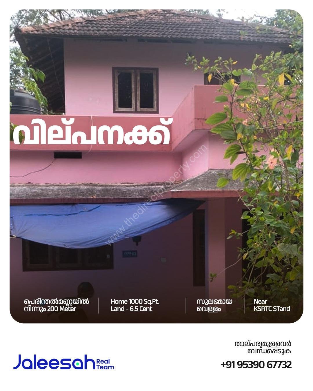 WhatsApp Image 2025-03-07 at 9.39.26 PM