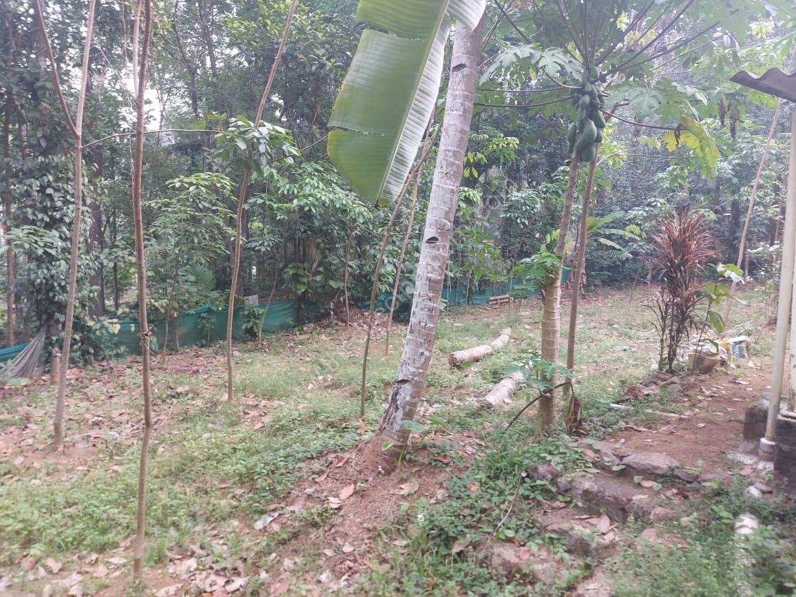 WhatsApp Image 2025-03-12 at 06.43.06 (1)