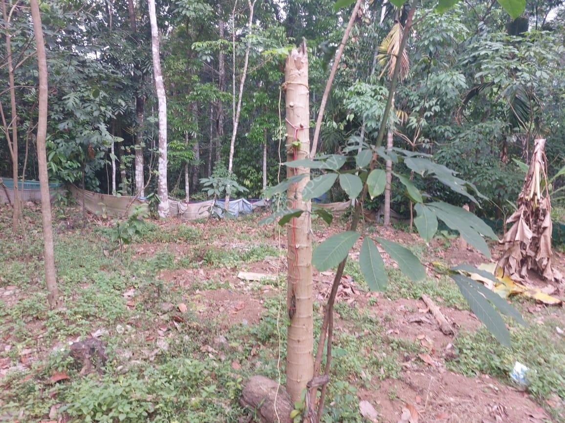 WhatsApp Image 2025-03-12 at 06.43.06