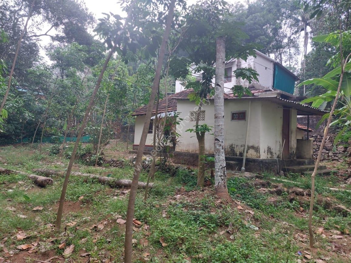 WhatsApp Image 2025-03-12 at 06.43.07