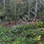 Residential Plot for Sale in Thokkupara Near Munnar & Adimali