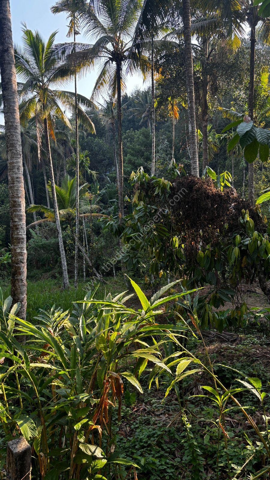 WhatsApp Image 2025-03-12 at 1.53.20 PM