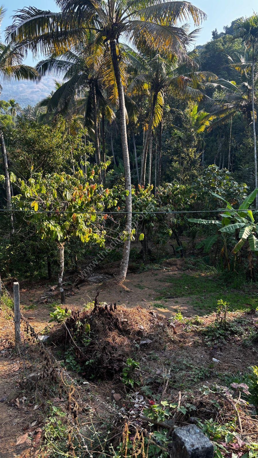 WhatsApp Image 2025-03-12 at 1.53.21 PM (1)