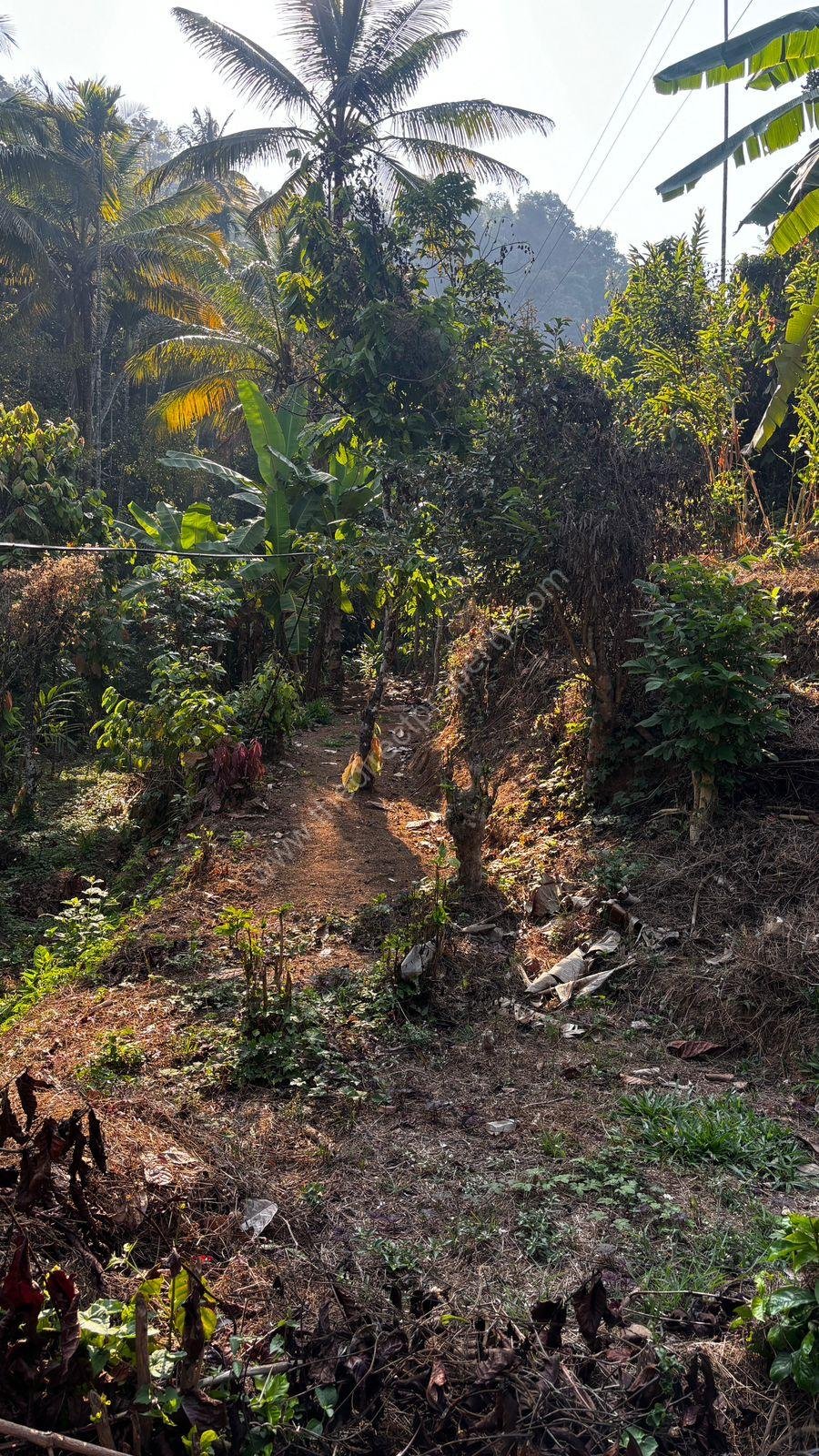 WhatsApp Image 2025-03-12 at 1.53.21 PM