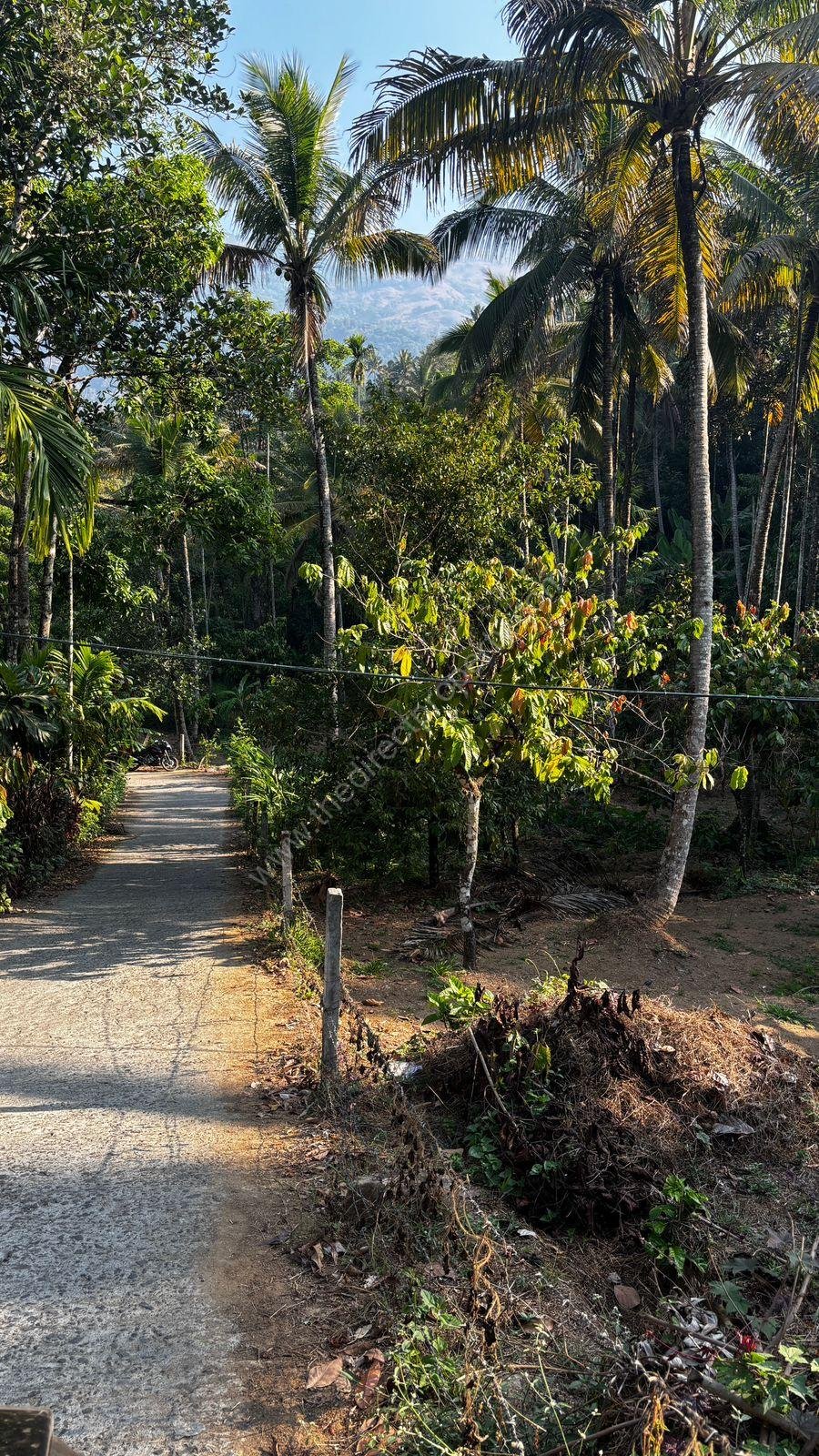 WhatsApp Image 2025-03-12 at 1.53.22 PM