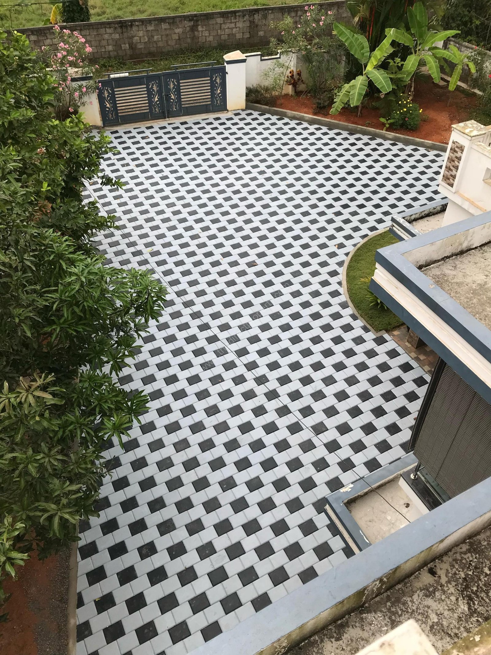 WhatsApp Image 2025-03-20 at 3.06.50 AM