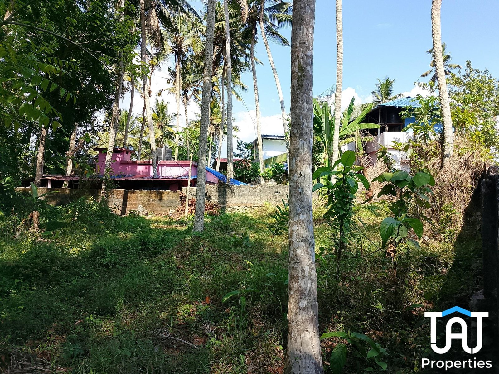 WhatsApp Image 2025-03-21 at 10.58.28 AM (2)