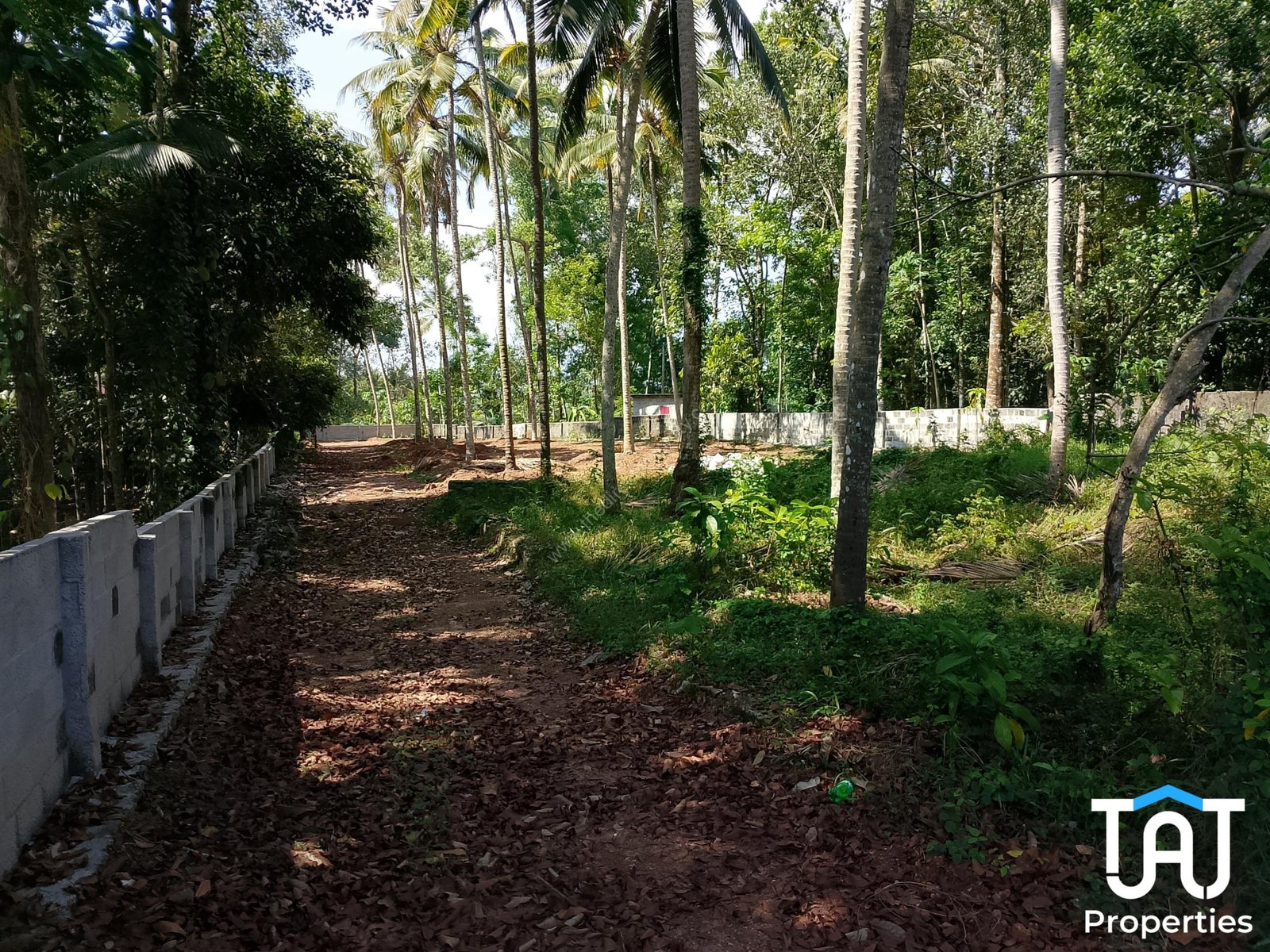 WhatsApp Image 2025-03-21 at 10.58.28 AM (3)