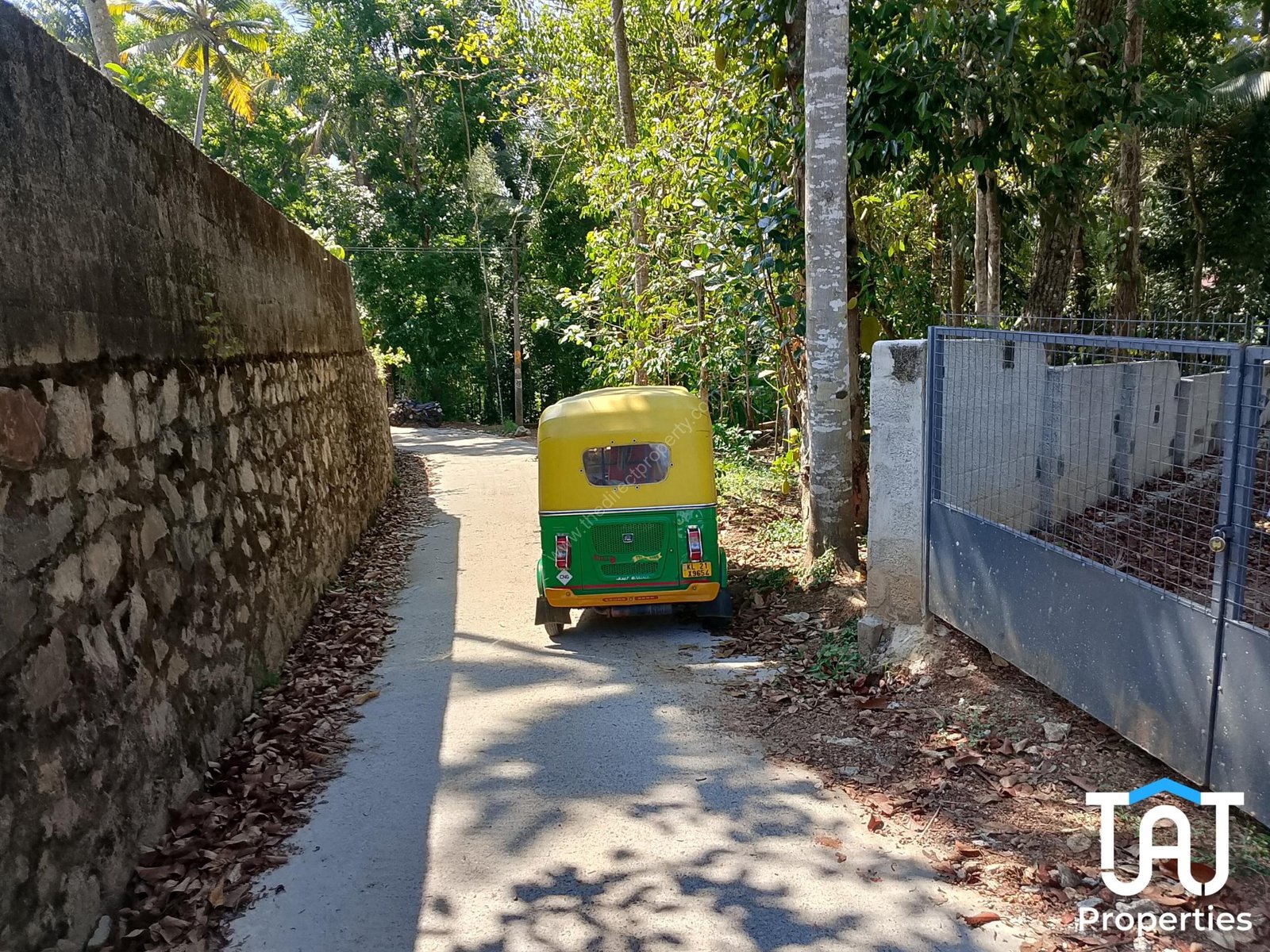 WhatsApp Image 2025-03-21 at 10.58.28 AM