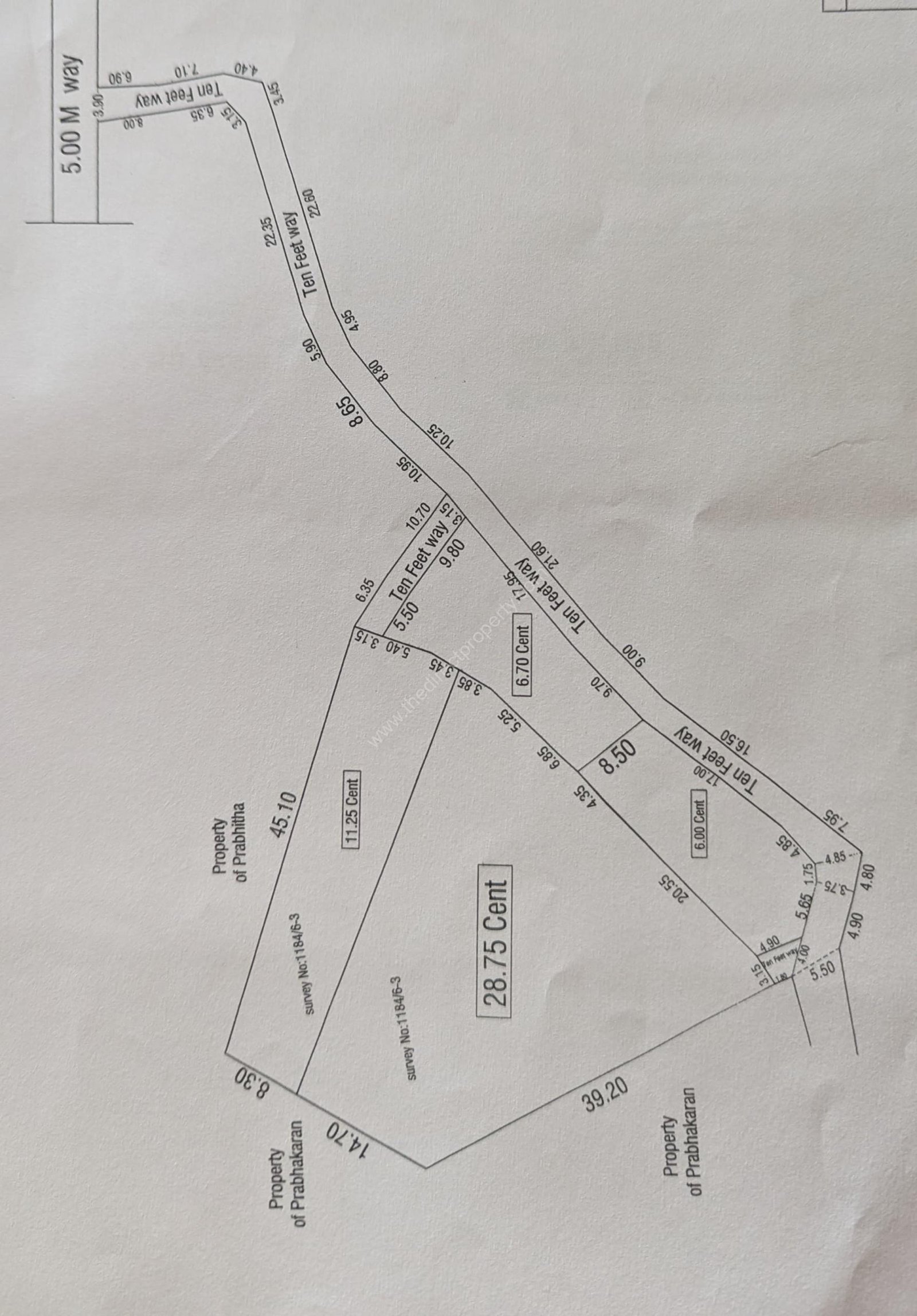 WhatsApp Image 2025-03-23 at 7.12.24 AM