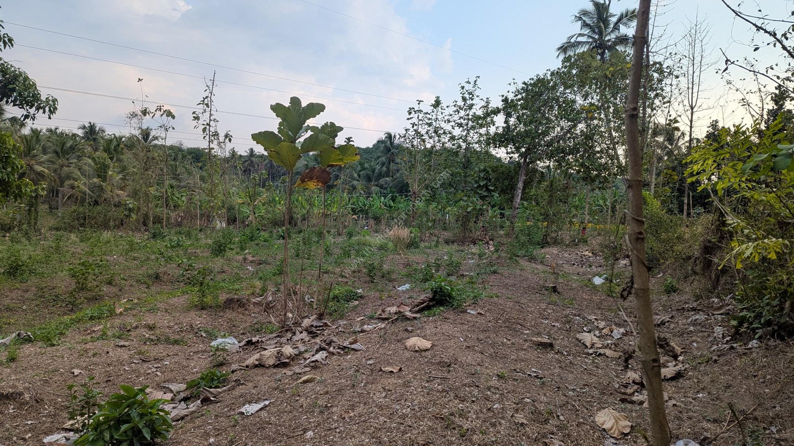 WhatsApp Image 2025-03-23 at 7.12.25 AM (1)