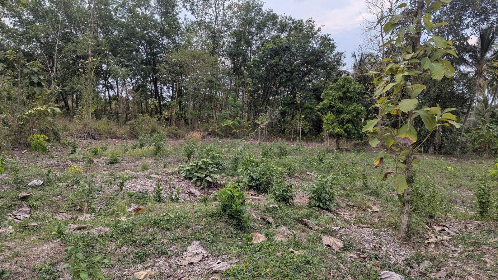 WhatsApp Image 2025-03-23 at 7.12.25 AM (2)