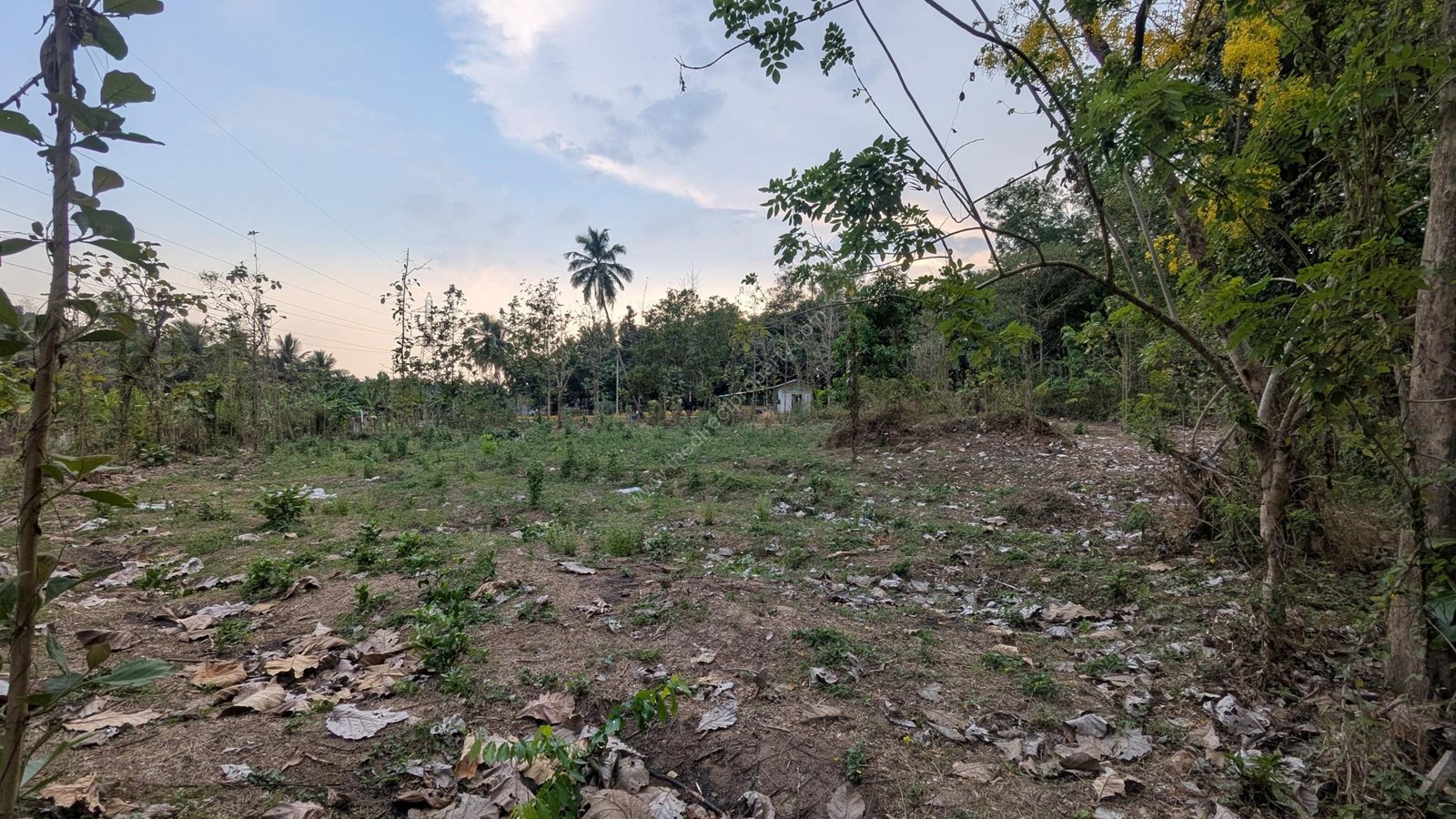 WhatsApp Image 2025-03-23 at 7.12.25 AM