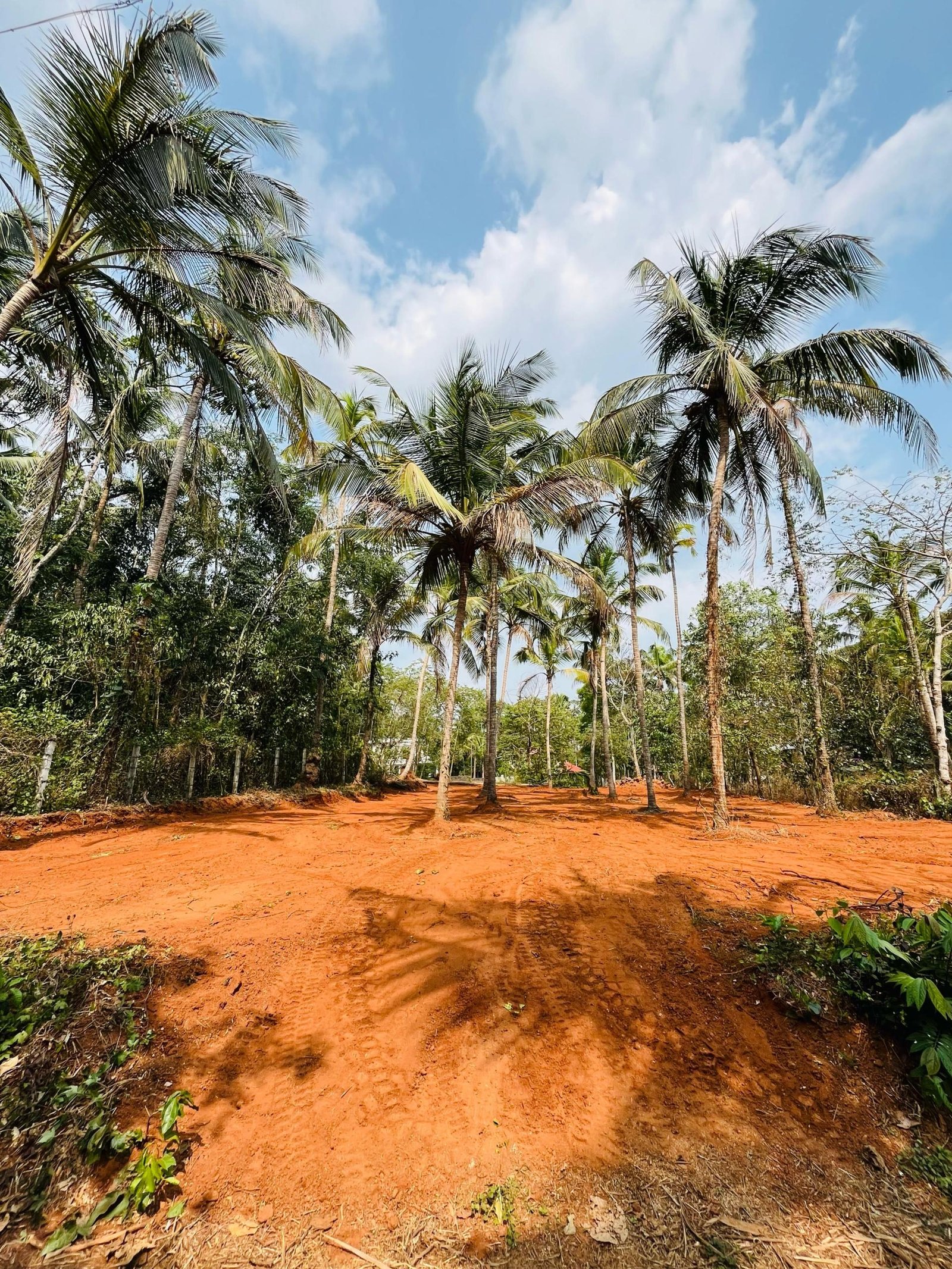 WhatsApp Image 2025-03-26 at 6.15.20 PM