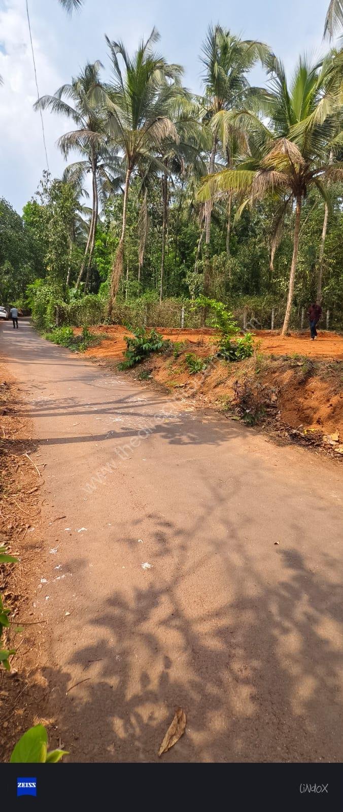 WhatsApp Image 2025-03-26 at 6.15.33 PM