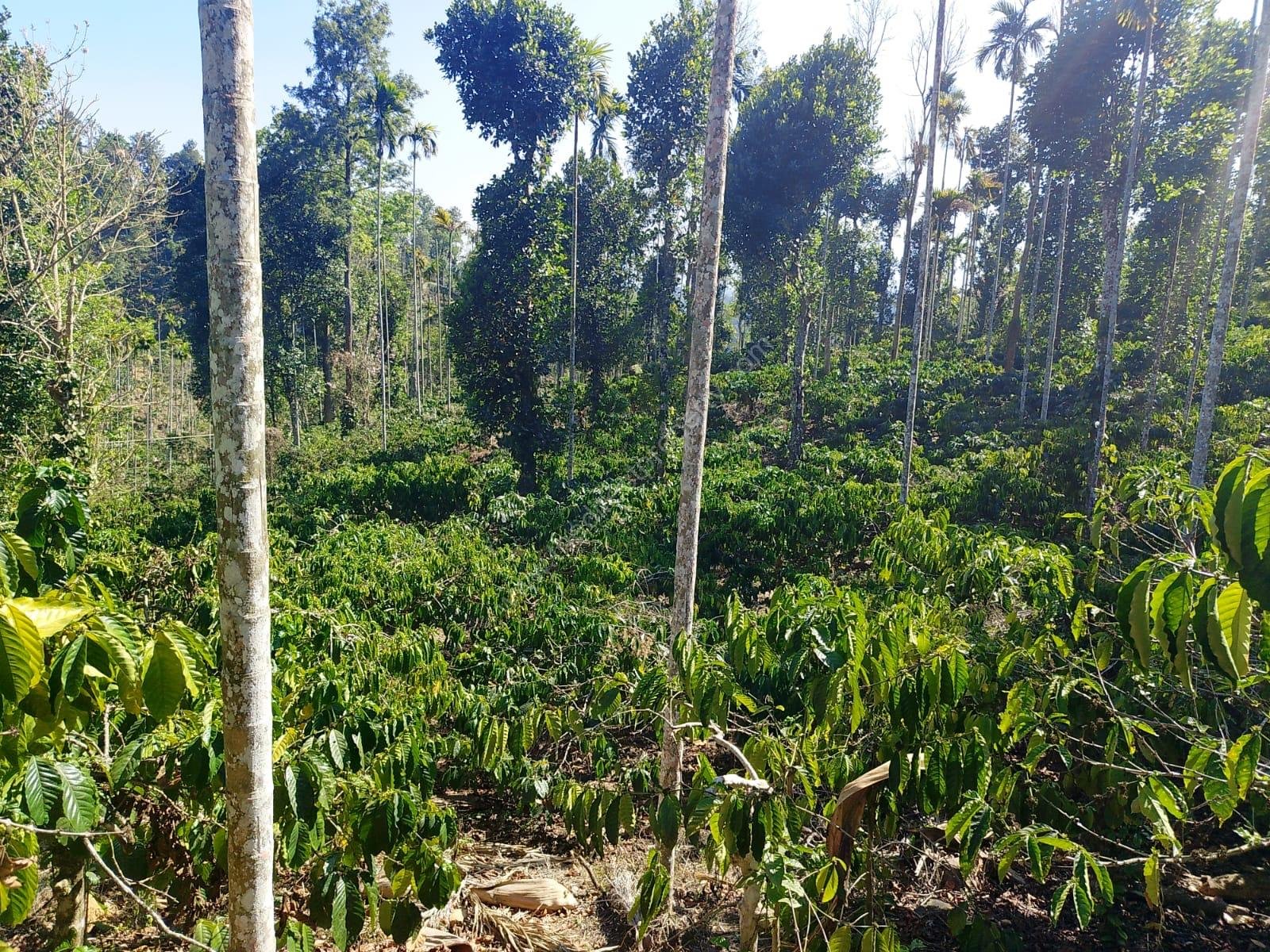 ed872522-f661-4fb0-bb8f-593769afeb7e