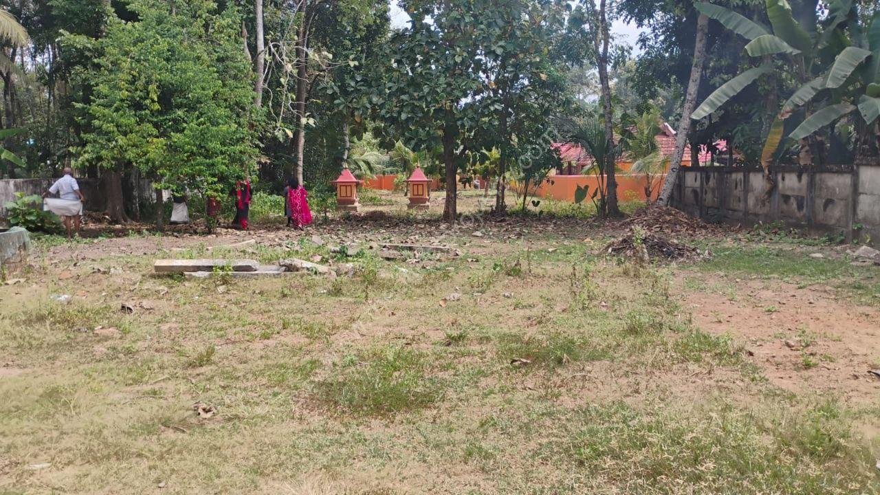 photo_2025-03-25_15-51-50