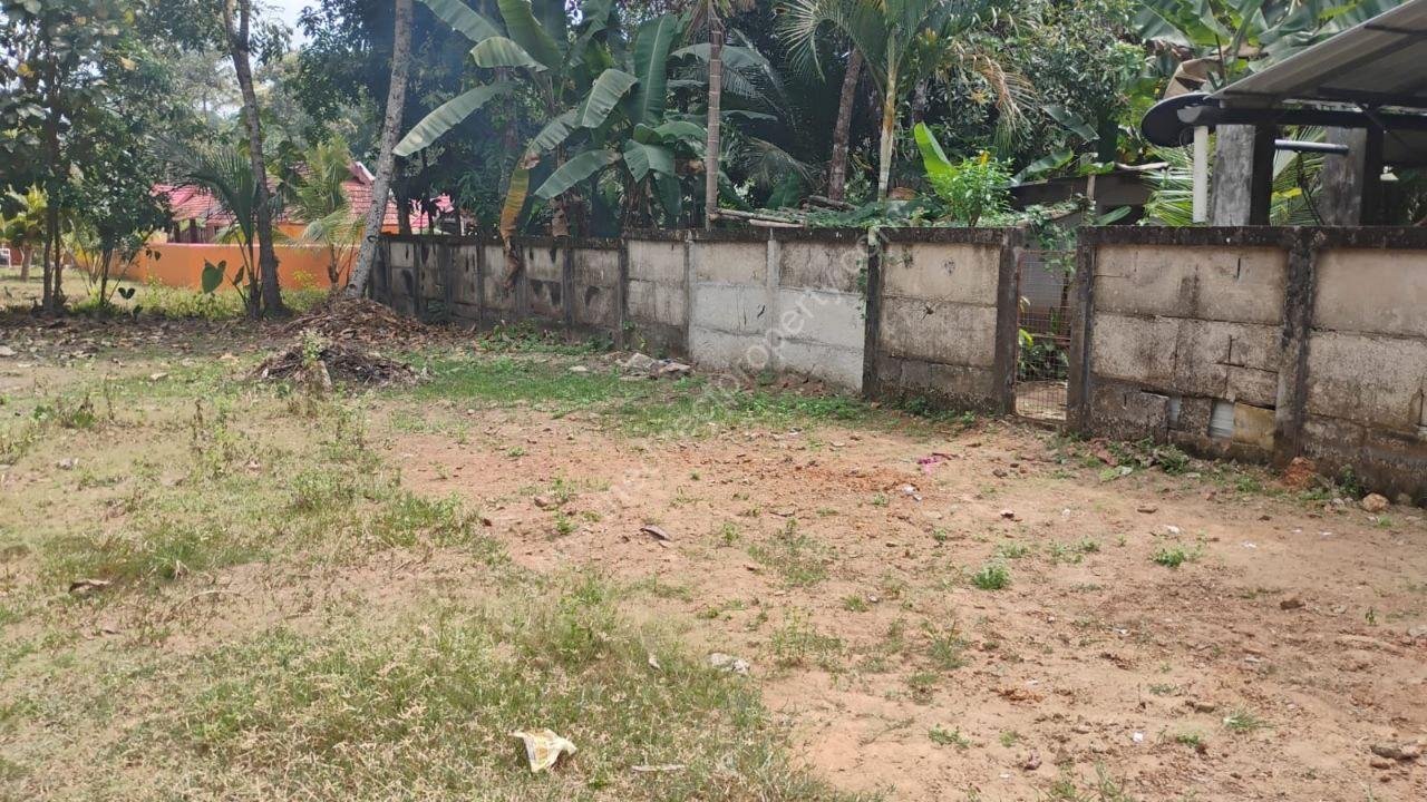 photo_2025-03-25_15-51-53