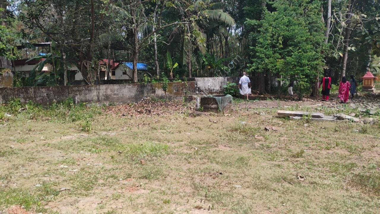 photo_2025-03-25_15-51-56