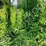 Commerical Plots for sale in Vadakke Bus stand Thrissur
