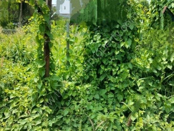 Commerical Plots for sale in Vadakke Bus stand Thrissur