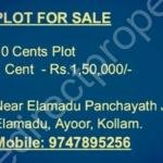 Land for Sale in Elamadu Ayoor