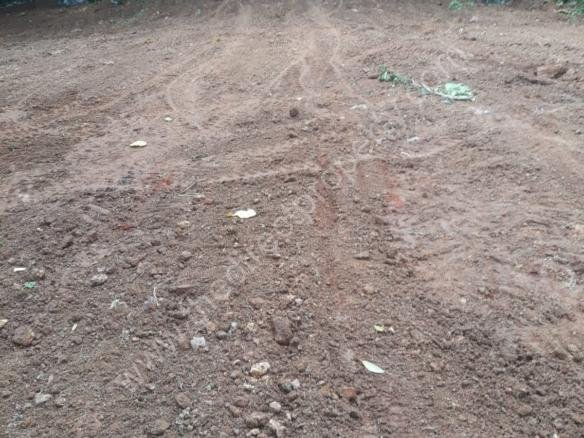 Plot for sale in Thiruvalla Town