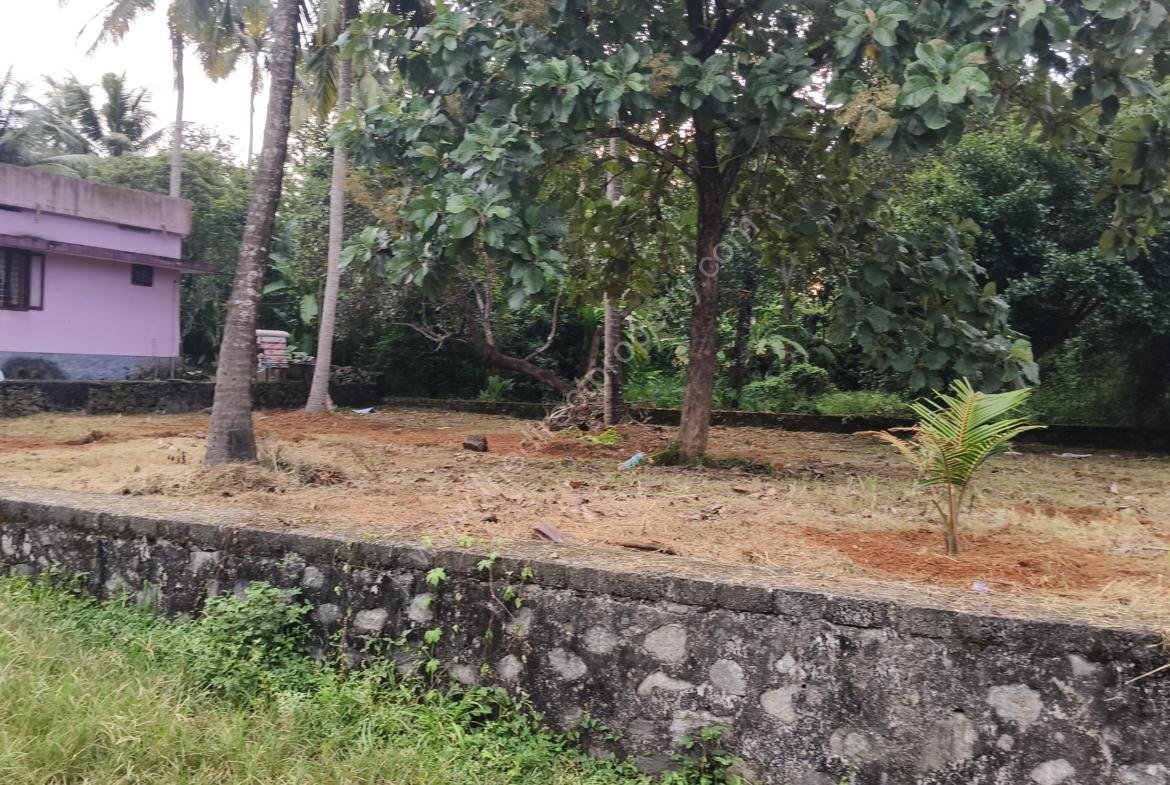 House plot for sale in Chalakudy