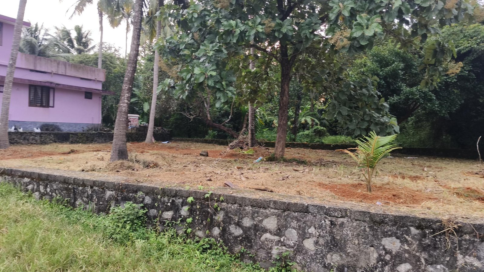 1000041359 House plot for sale in Chalakudy