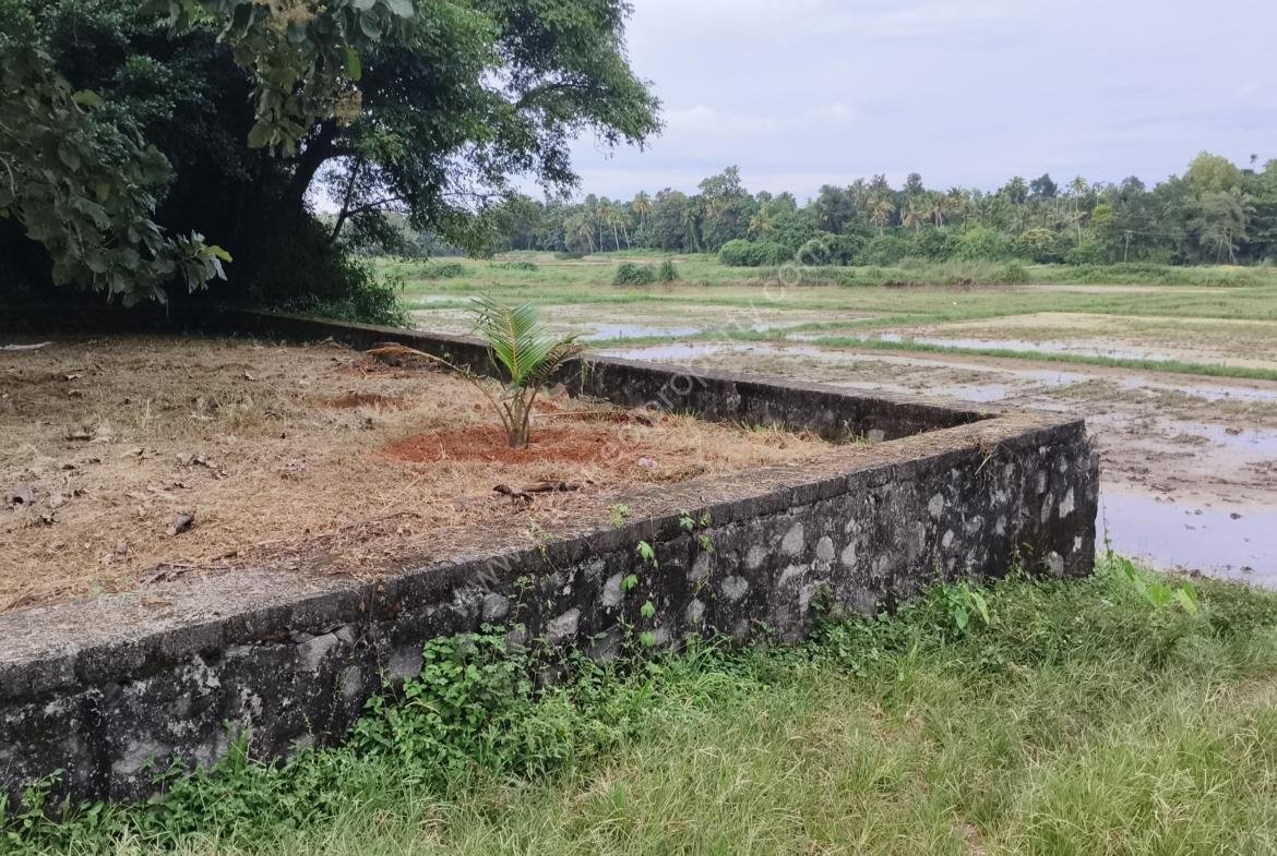House plot for sale in Chalakudy